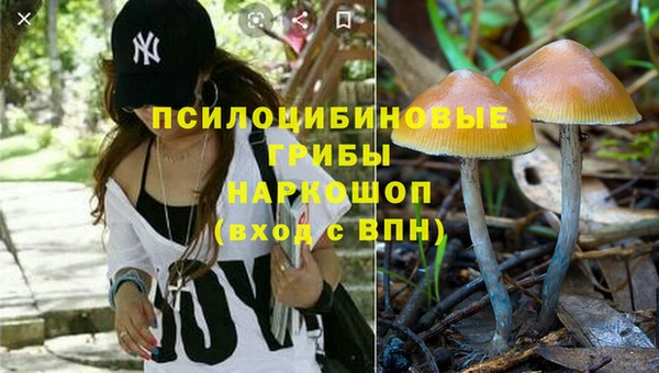 а пвп мука Абаза
