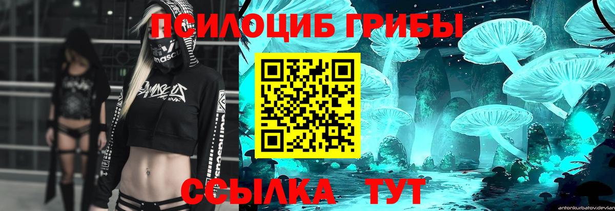 Курск  Галлюциногенные грибы MAGIC MUSHROOMS  Вход с VPN 